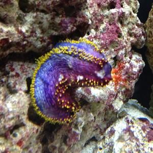 Meet your Posher, Jon